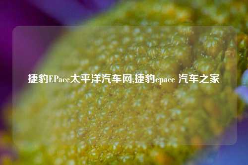 捷豹EPace太平洋汽车网,捷豹epace 汽车之家-第1张图片-徐州汽车网