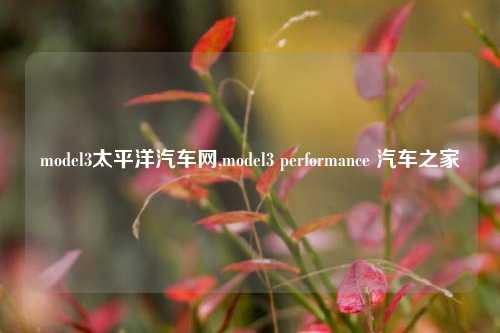 model3太平洋汽车网,model3 performance 汽车之家-第1张图片-徐州汽车网