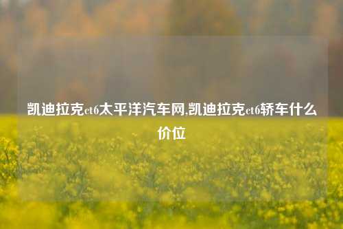 凯迪拉克ct6太平洋汽车网,凯迪拉克ct6轿车什么价位-第1张图片-徐州汽车网