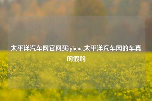 太平洋汽车网官网买iphone,太平洋汽车网的车真的假的-第1张图片-徐州汽车网