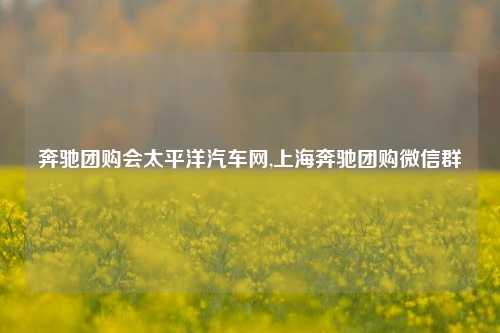 奔驰团购会太平洋汽车网,上海奔驰团购微信群-第1张图片-徐州汽车网