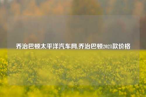 乔治巴顿太平洋汽车网,乔治巴顿2021款价格-第1张图片-徐州汽车网