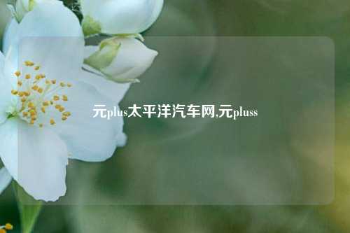 元plus太平洋汽车网,元pluss-第1张图片-徐州汽车网