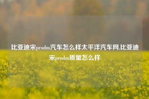 比亚迪宋prodm汽车怎么样太平洋汽车网,比亚迪宋prodm质量怎么样-第1张图片-徐州汽车网