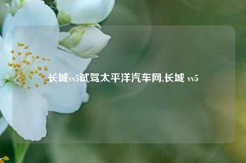 长城vv5试驾太平洋汽车网,长城 vv5-第1张图片-徐州汽车网