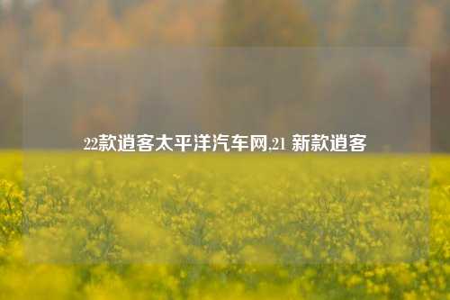 22款逍客太平洋汽车网,21 新款逍客-第1张图片-徐州汽车网