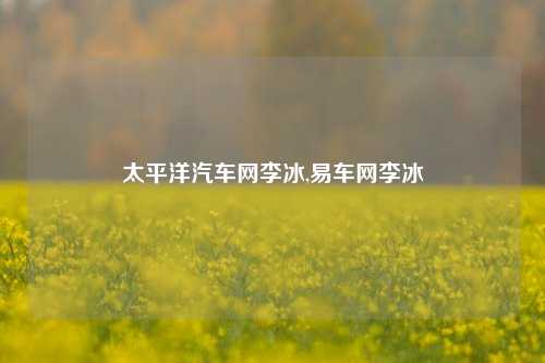 太平洋汽车网李冰,易车网李冰-第1张图片-徐州汽车网