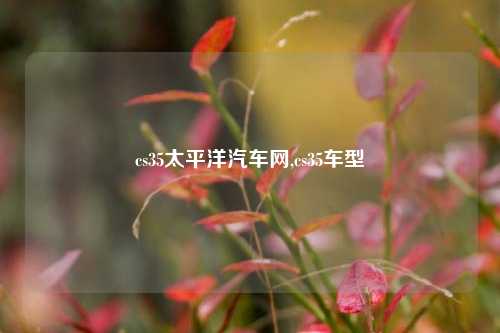 cs35太平洋汽车网,cs35车型-第1张图片-徐州汽车网