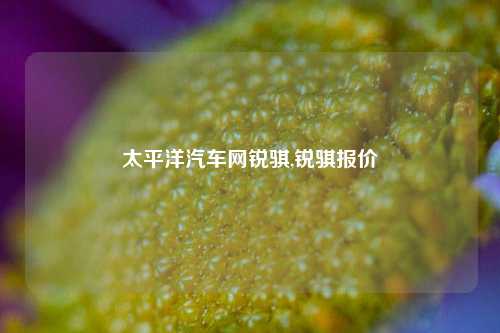 太平洋汽车网锐骐,锐骐报价-第1张图片-徐州汽车网