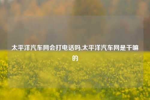 太平洋汽车网会打电话吗,太平洋汽车网是干嘛的-第1张图片-徐州汽车网