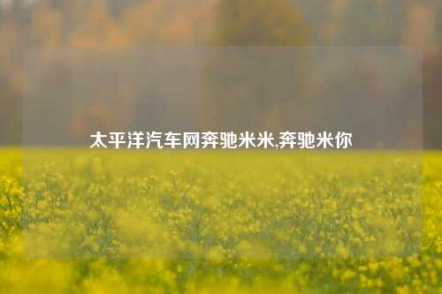 太平洋汽车网奔驰米米,奔驰米你-第1张图片-徐州汽车网