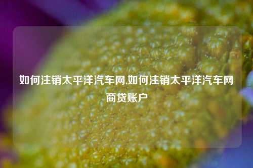 如何注销太平洋汽车网,如何注销太平洋汽车网商贷账户-第1张图片-徐州汽车网