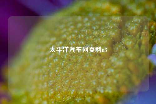 太平洋汽车网夏利n3-第1张图片-徐州汽车网