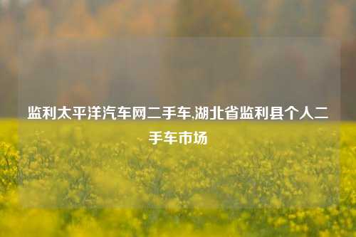 监利太平洋汽车网二手车,湖北省监利县个人二手车市场-第1张图片-徐州汽车网