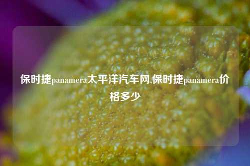 保时捷panamera太平洋汽车网,保时捷panamera价格多少-第1张图片-徐州汽车网