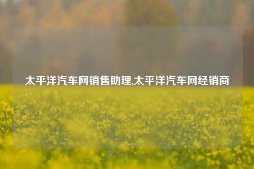 太平洋汽车网销售助理,太平洋汽车网经销商-第1张图片-徐州汽车网