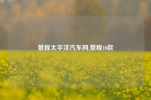 景程太平洋汽车网,景程10款-第1张图片-徐州汽车网