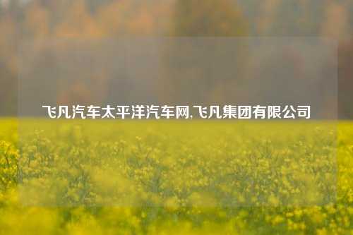 飞凡汽车太平洋汽车网,飞凡集团有限公司-第1张图片-徐州汽车网