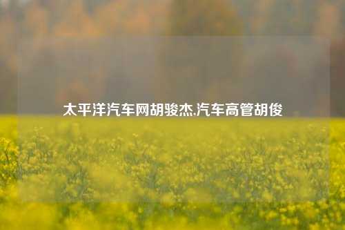 太平洋汽车网胡骏杰,汽车高管胡俊-第1张图片-徐州汽车网