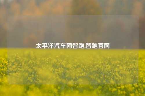 太平洋汽车网智跑,智跑官网-第1张图片-徐州汽车网