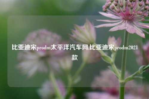 比亚迪宋prodm太平洋汽车网,比亚迪宋prodm2021款-第1张图片-徐州汽车网