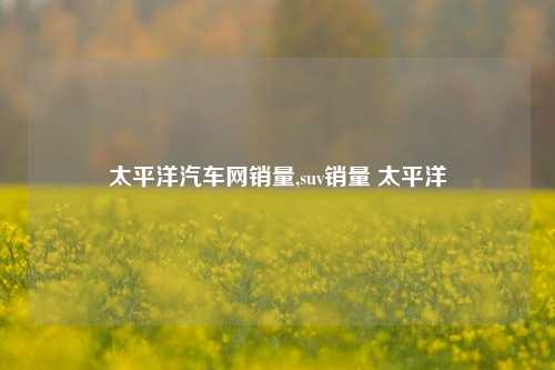 太平洋汽车网销量,suv销量 太平洋-第1张图片-徐州汽车网