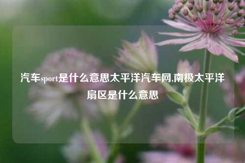 汽车sport是什么意思太平洋汽车网,南极太平洋扇区是什么意思-第1张图片-徐州汽车网