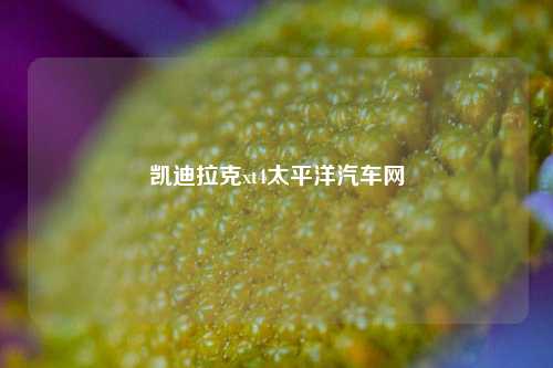 凯迪拉克xt4太平洋汽车网-第1张图片-徐州汽车网