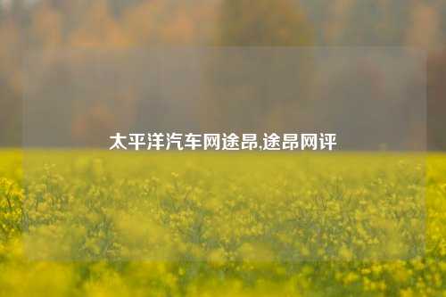 太平洋汽车网途昂,途昂网评-第1张图片-徐州汽车网