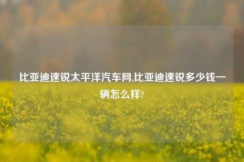 比亚迪速锐太平洋汽车网,比亚迪速锐多少钱一辆怎么样?-第1张图片-徐州汽车网