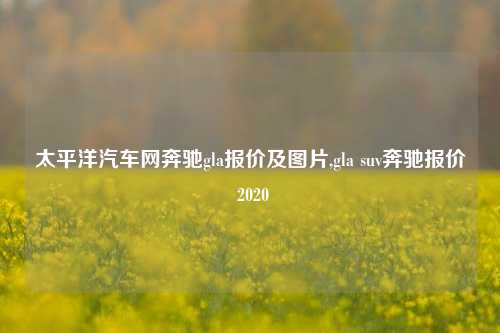 太平洋汽车网奔驰gla报价及图片,gla suv奔驰报价 2020-第1张图片-徐州汽车网