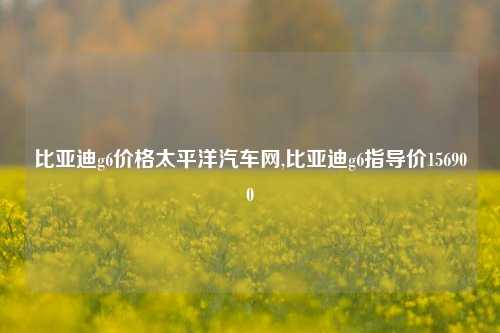 比亚迪g6价格太平洋汽车网,比亚迪g6指导价156900-第1张图片-徐州汽车网