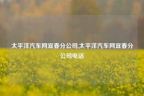 太平洋汽车网宜春分公司,太平洋汽车网宜春分公司电话-第1张图片-徐州汽车网