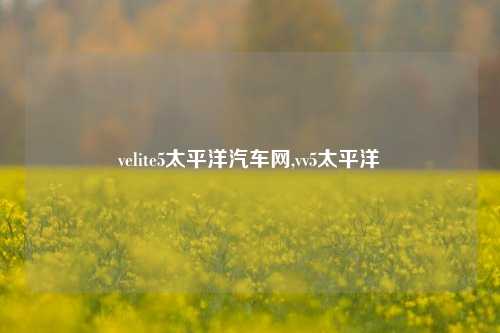 velite5太平洋汽车网,vv5太平洋-第1张图片-徐州汽车网