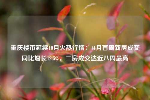 重庆楼市延续10月火热行情：11月首周新房成交同比增长12.5%，二房成交达近八周最高-第1张图片-徐州汽车网