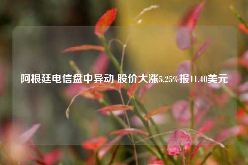 阿根廷电信盘中异动 股价大涨5.25%报11.40美元-第1张图片-徐州汽车网