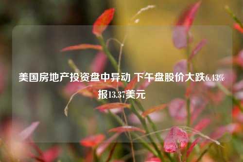 美国房地产投资盘中异动 下午盘股价大跌6.43%报13.37美元-第1张图片-徐州汽车网