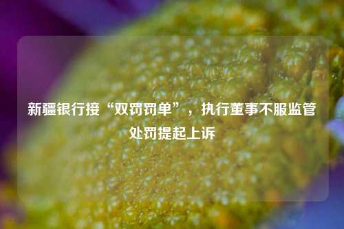 新疆银行接“双罚罚单”，执行董事不服监管处罚提起上诉-第1张图片-徐州汽车网