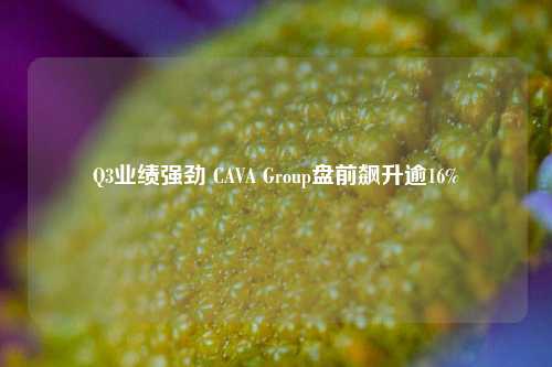 Q3业绩强劲 CAVA Group盘前飙升逾16%-第1张图片-徐州汽车网