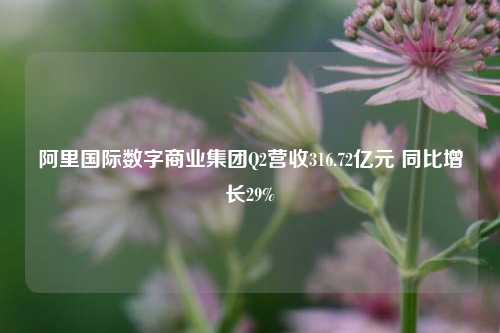 阿里国际数字商业集团Q2营收316.72亿元 同比增长29%-第1张图片-徐州汽车网