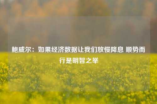 鲍威尔：如果经济数据让我们放慢降息 顺势而行是明智之举-第1张图片-徐州汽车网