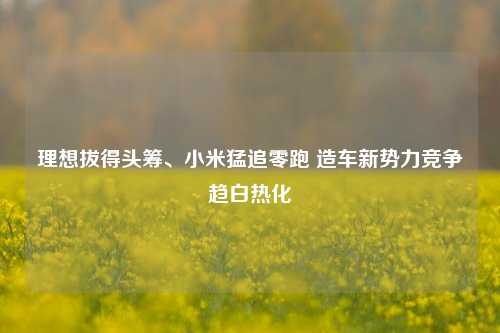 理想拔得头筹、小米猛追零跑 造车新势力竞争趋白热化-第1张图片-徐州汽车网