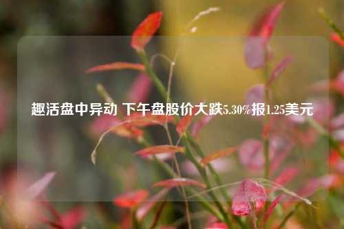 趣活盘中异动 下午盘股价大跌5.30%报1.25美元-第1张图片-徐州汽车网