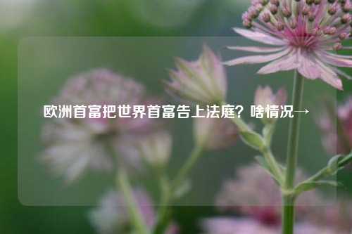 欧洲首富把世界首富告上法庭？啥情况→-第1张图片-徐州汽车网