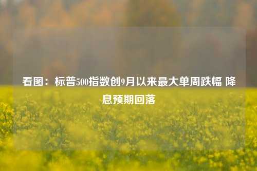 看图：标普500指数创9月以来最大单周跌幅 降息预期回落-第1张图片-徐州汽车网