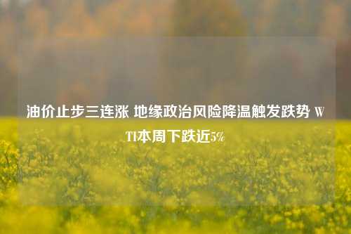 油价止步三连涨 地缘政治风险降温触发跌势 WTI本周下跌近5%-第1张图片-徐州汽车网