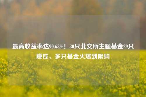 最高收益率达90.63%！30只北交所主题基金29只赚钱，多只基金火爆到限购-第1张图片-徐州汽车网