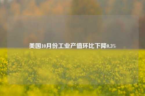 美国10月份工业产值环比下降0.3%-第1张图片-徐州汽车网