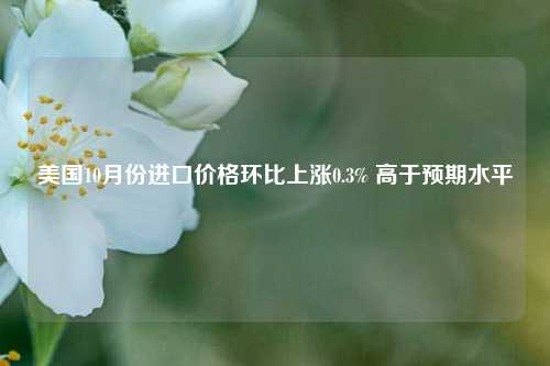 美国10月份进口价格环比上涨0.3% 高于预期水平-第1张图片-徐州汽车网