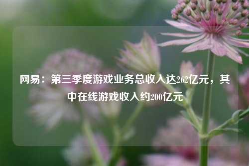 网易：第三季度游戏业务总收入达262亿元，其中在线游戏收入约200亿元-第1张图片-徐州汽车网